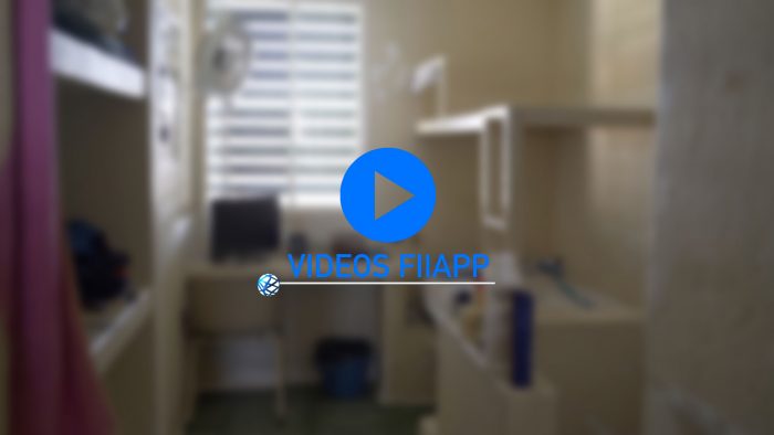 FIIAPP videos: Alternative measures to imprisonment